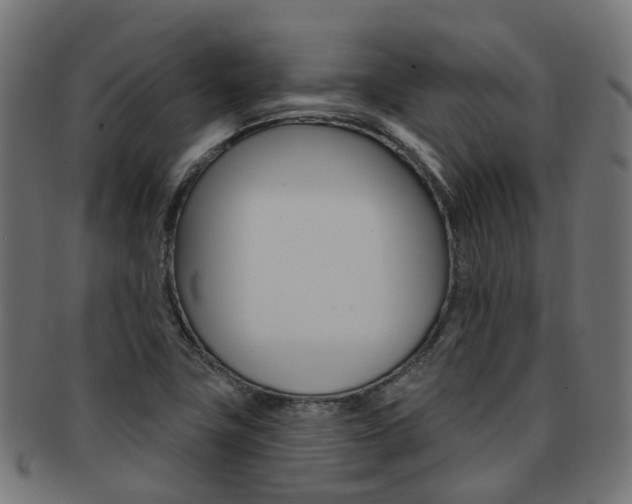 X0000092031411200709061341