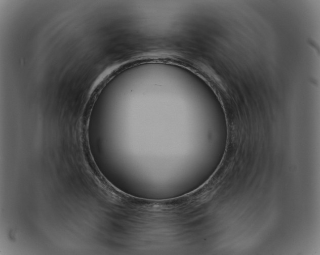 X0000092031412200709061341