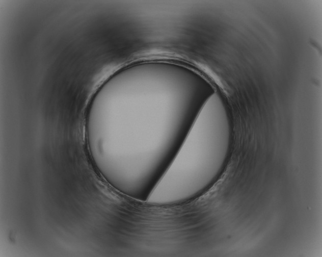 X0000092031413200709061341