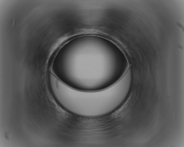 X0000092031414200709061341