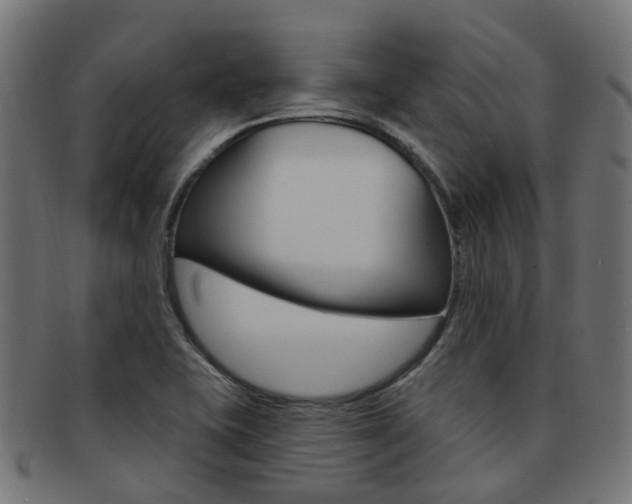 X0000092031415200709061341