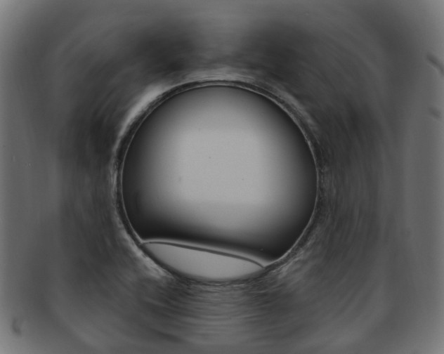 X0000092031416200709061341