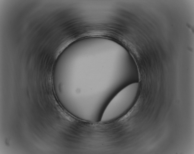 X0000092031417200709061341