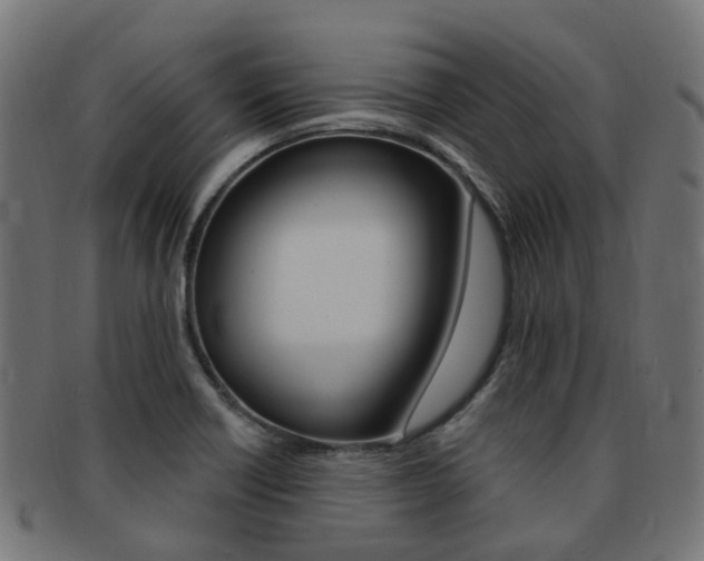 X0000092031418200709061341