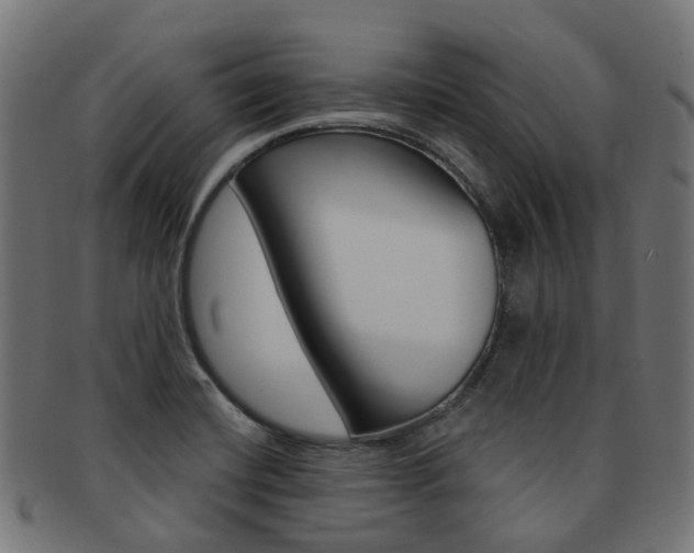 X0000092031420200709061341