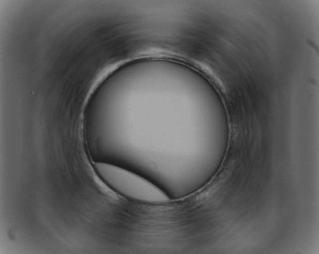 X0000092031421200709061341