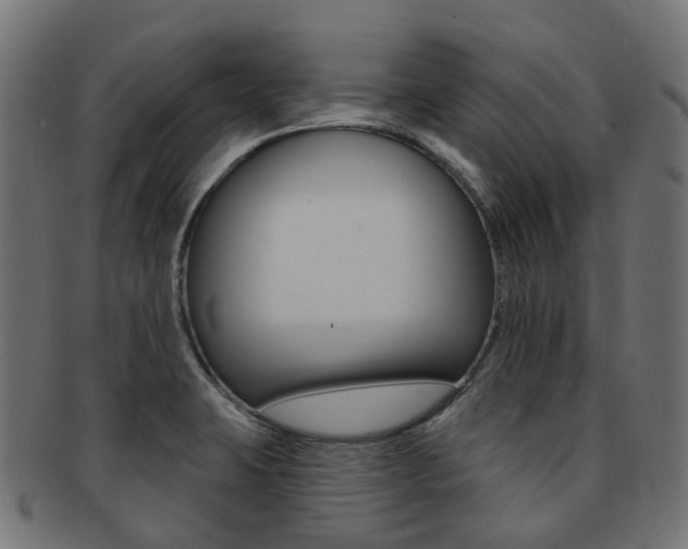 X0000092031423200709061341