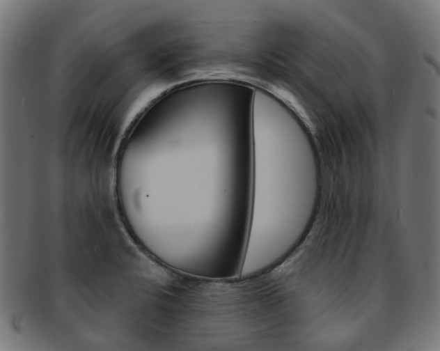 X0000092031424200709061341