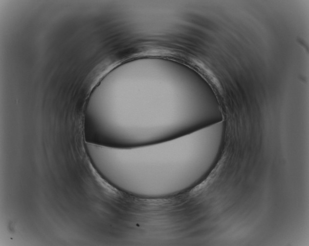 X0000092031425200709061341