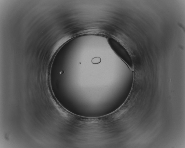 X0000092031426200709061341