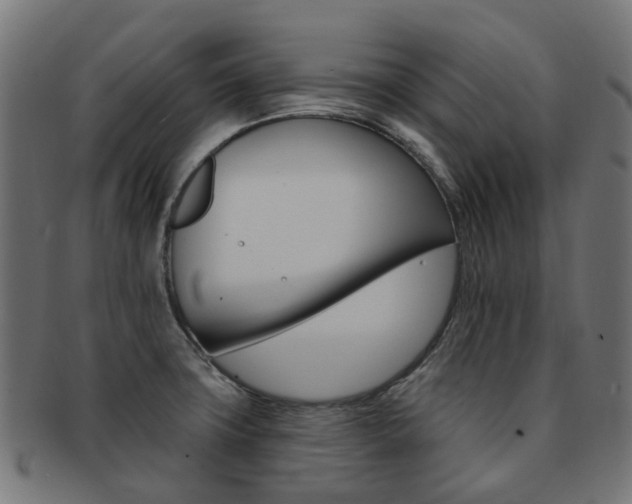X0000092031427200709061341