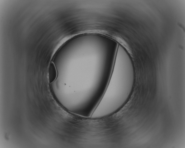 X0000092031428200709061341