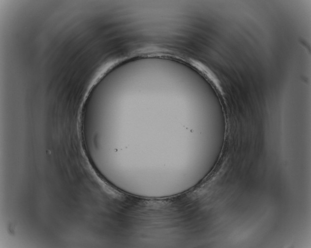 X0000092031429200709061341