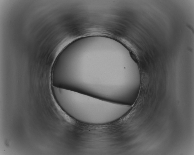 X0000092031431200709061341