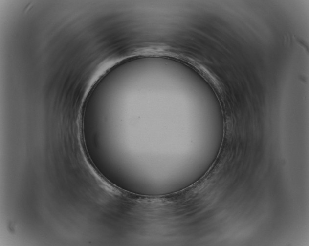 X0000092031432200709061341