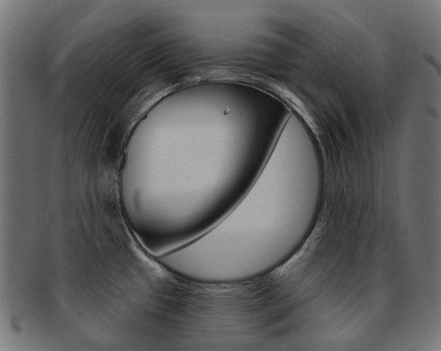 X0000092031433200709061341