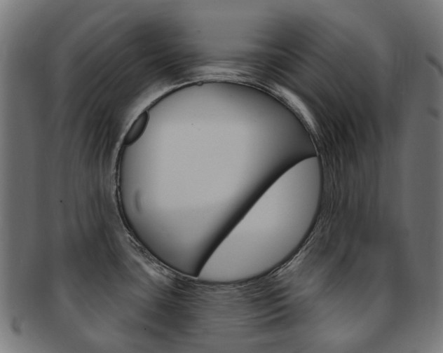 X0000092031435200709061341