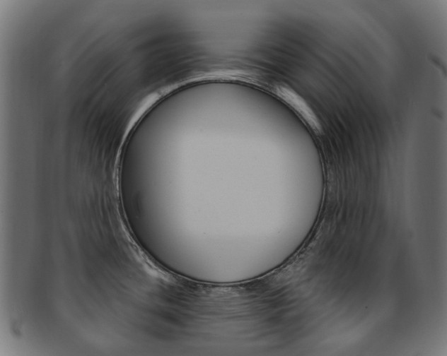 X0000092031436200709061341