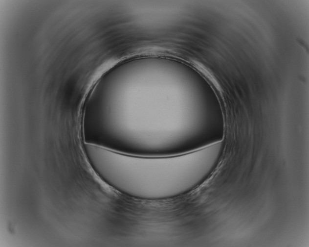 X0000092031437200709061341