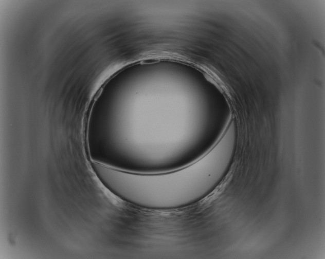 X0000092031438200709061341