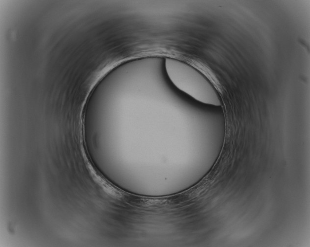 X0000092031439200709061341