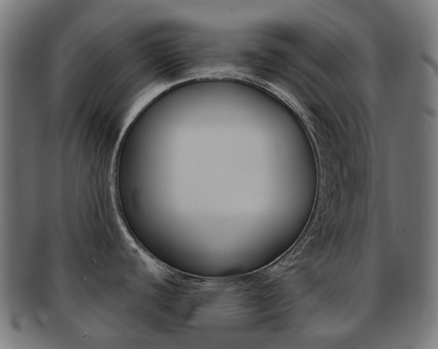 X0000092031440200709061341