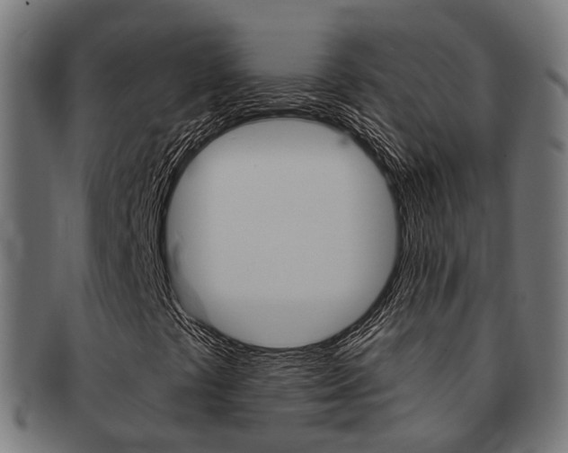 X0000092031441200709061341