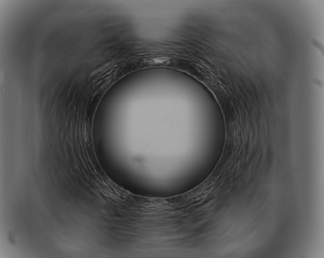 X0000092031442200709061341