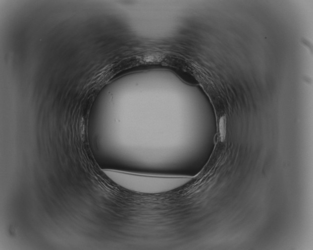 X0000092031443200709061341