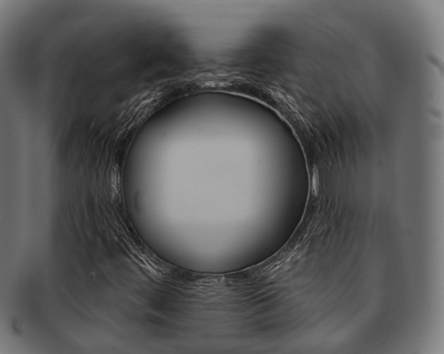 X0000092031444200709061341