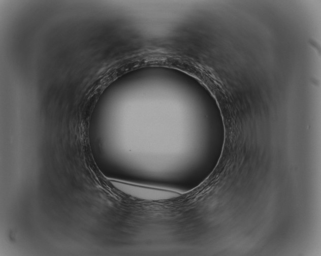 X0000092031445200709061341