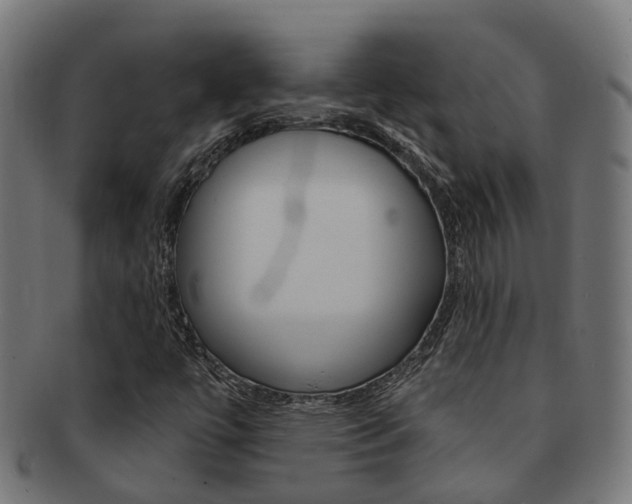 X0000092031447200709061340