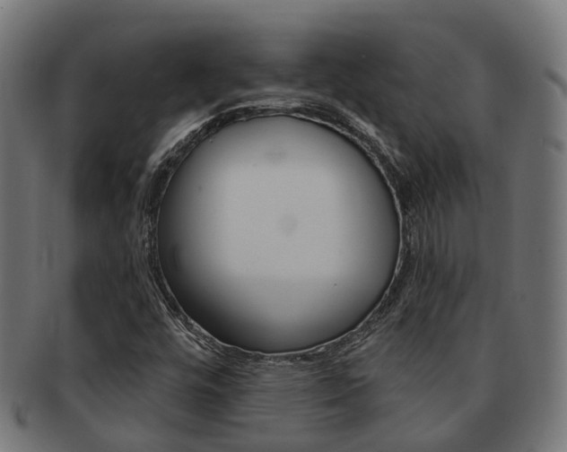 X0000092031448200709061340