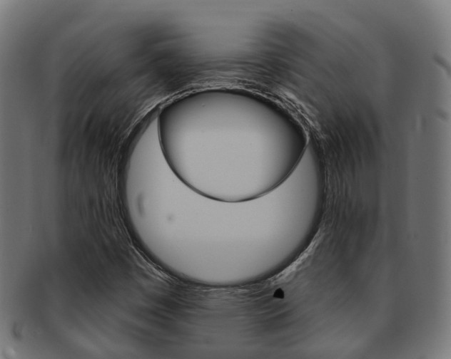 X0000092031449200709061340