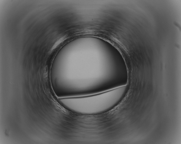 X0000092031450200709061340
