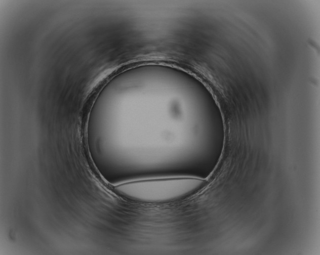 X0000092031452200709061340