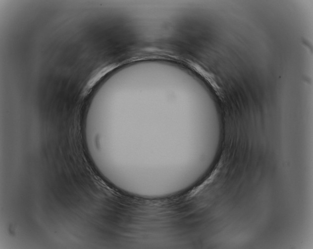 X0000092031453200709061340