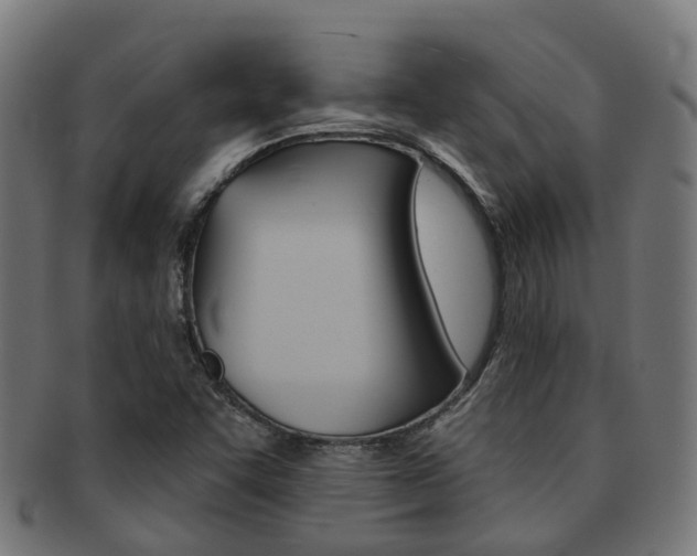 X0000092031455200709061340