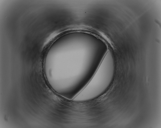 X0000092031456200709061340