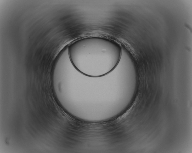 X0000092031457200709061340