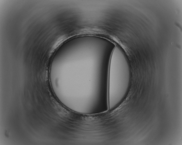 X0000092031459200709061340