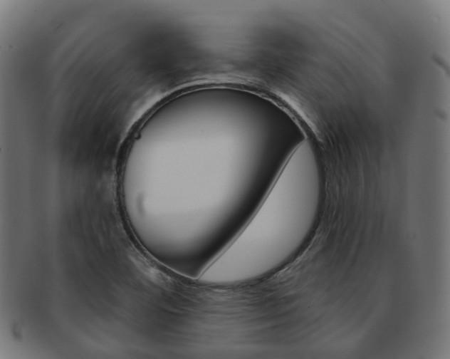 X0000092031460200709061340