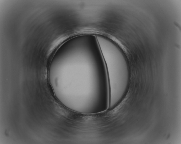 X0000092031461200709061340