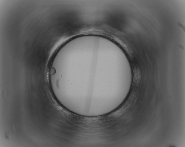 X0000092031462200709061340