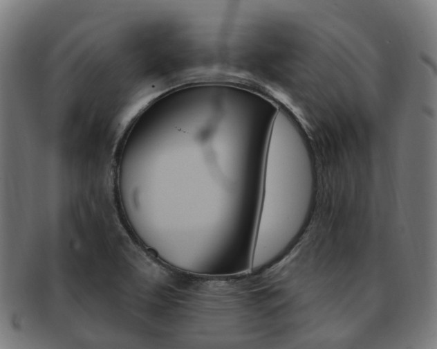 X0000092031463200709061340