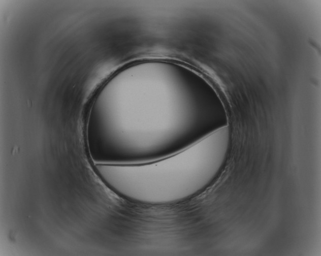 X0000092031464200709061340