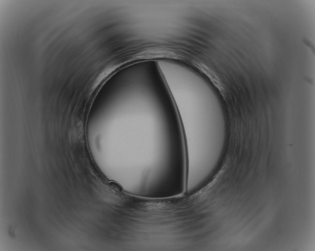 X0000092031465200709061340