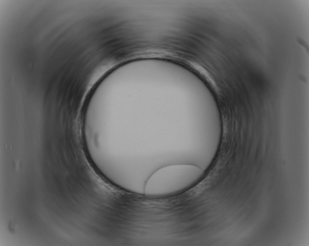X0000092031466200709061340