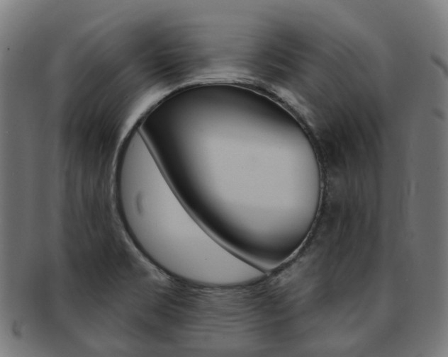 X0000092031469200709061340