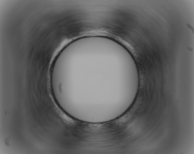X0000092031470200709061340